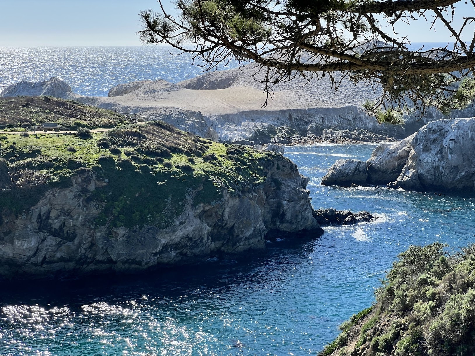 a rocky coastline with a tree