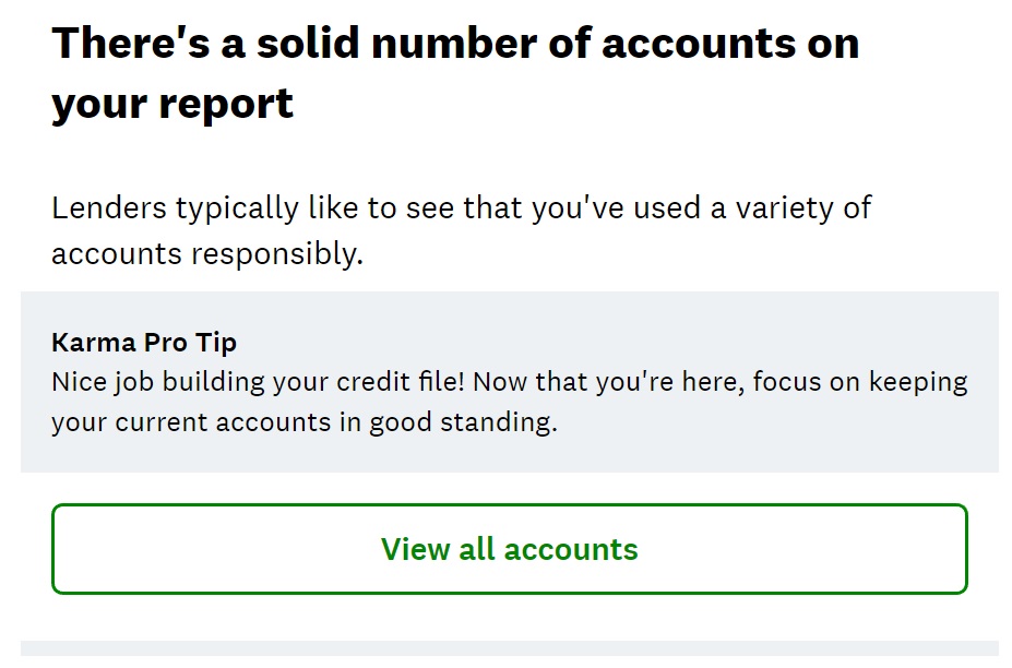 a screenshot of a credit report