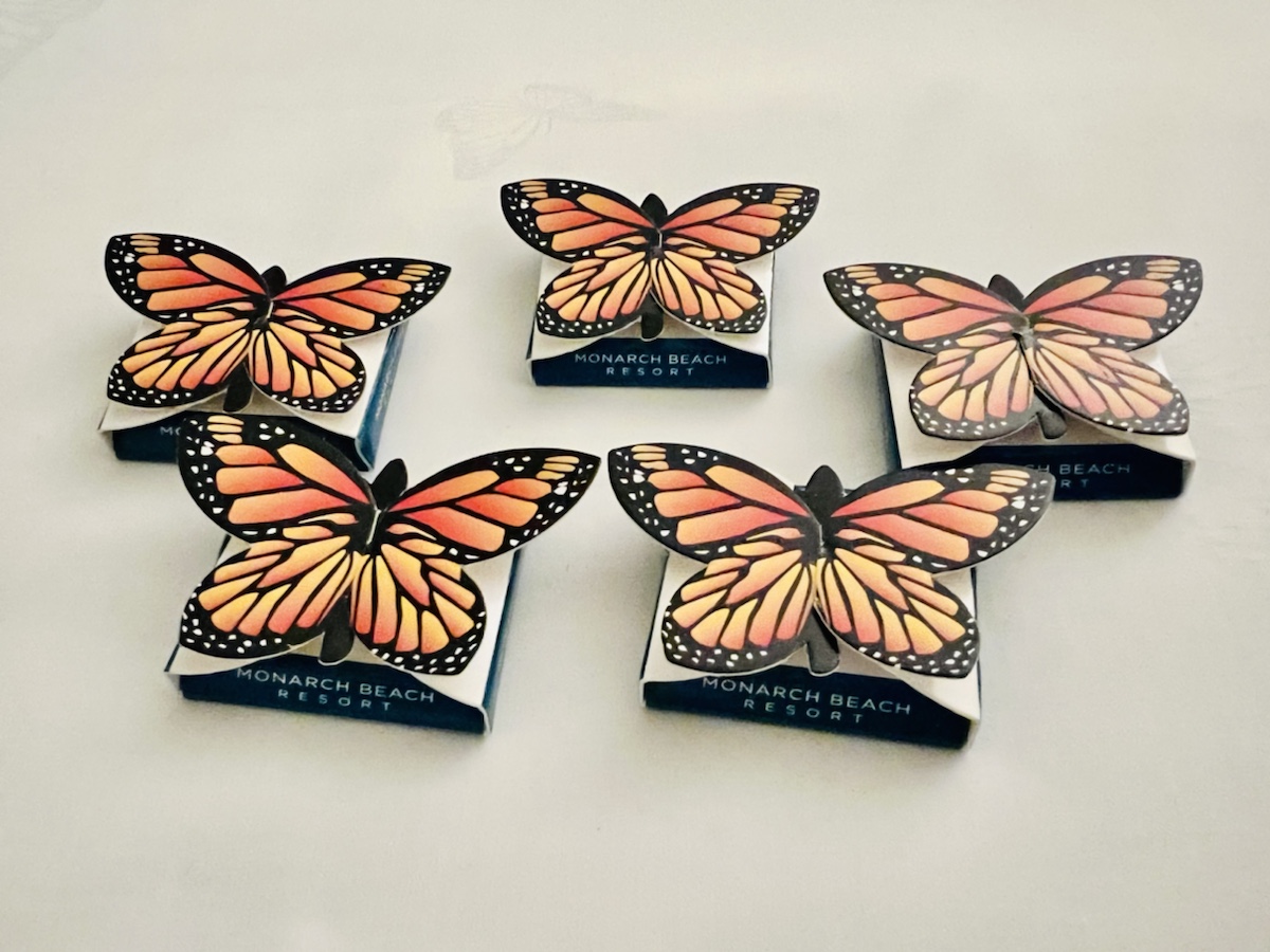 a group of butterflies on a box