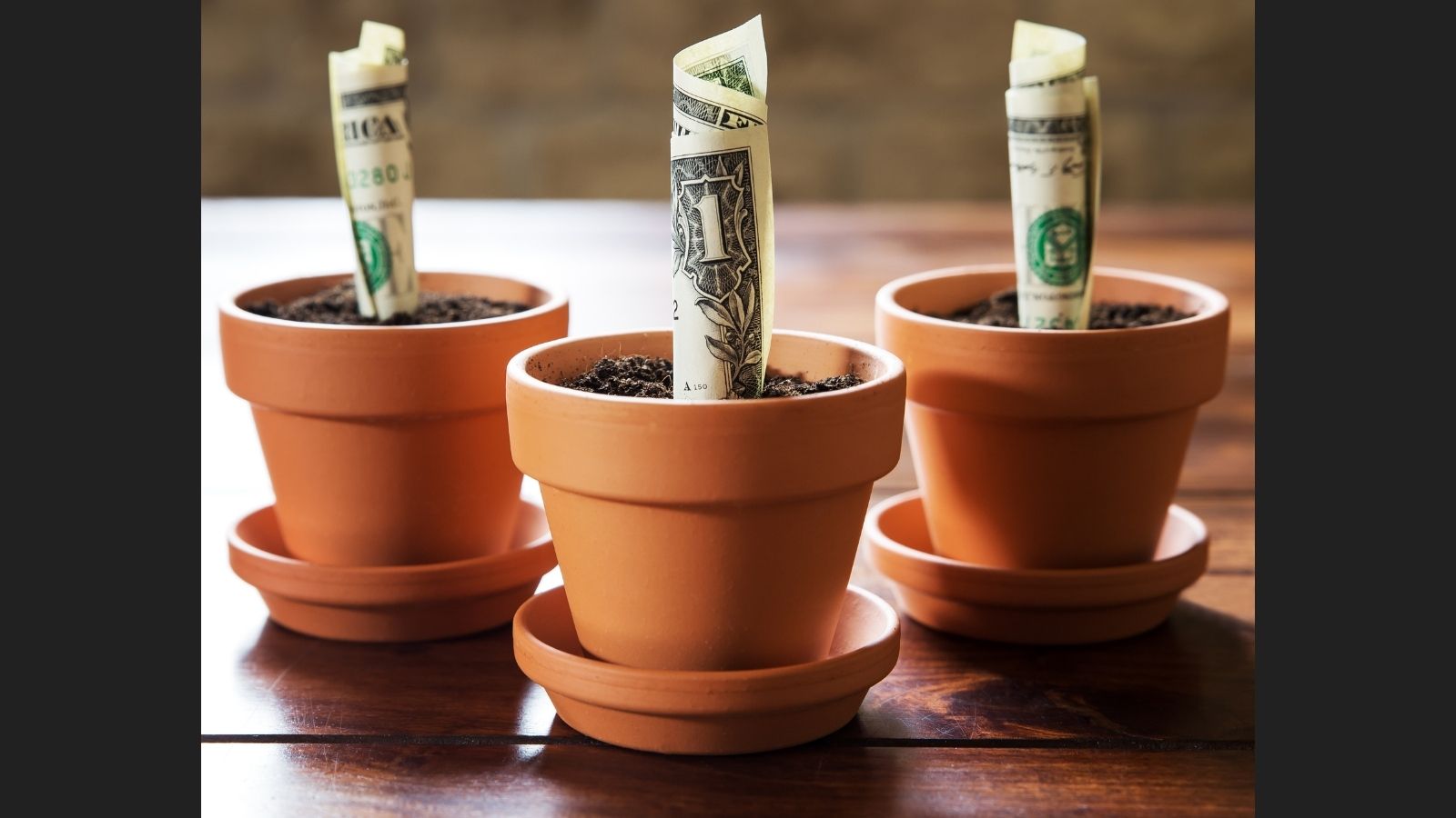 a group of small pots with money in them