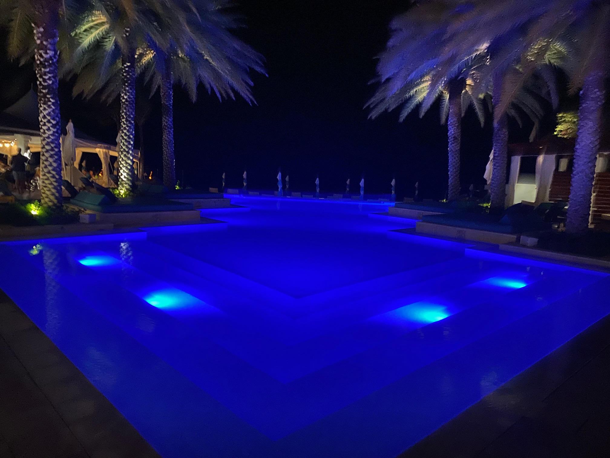 a pool with blue lights and palm trees at night