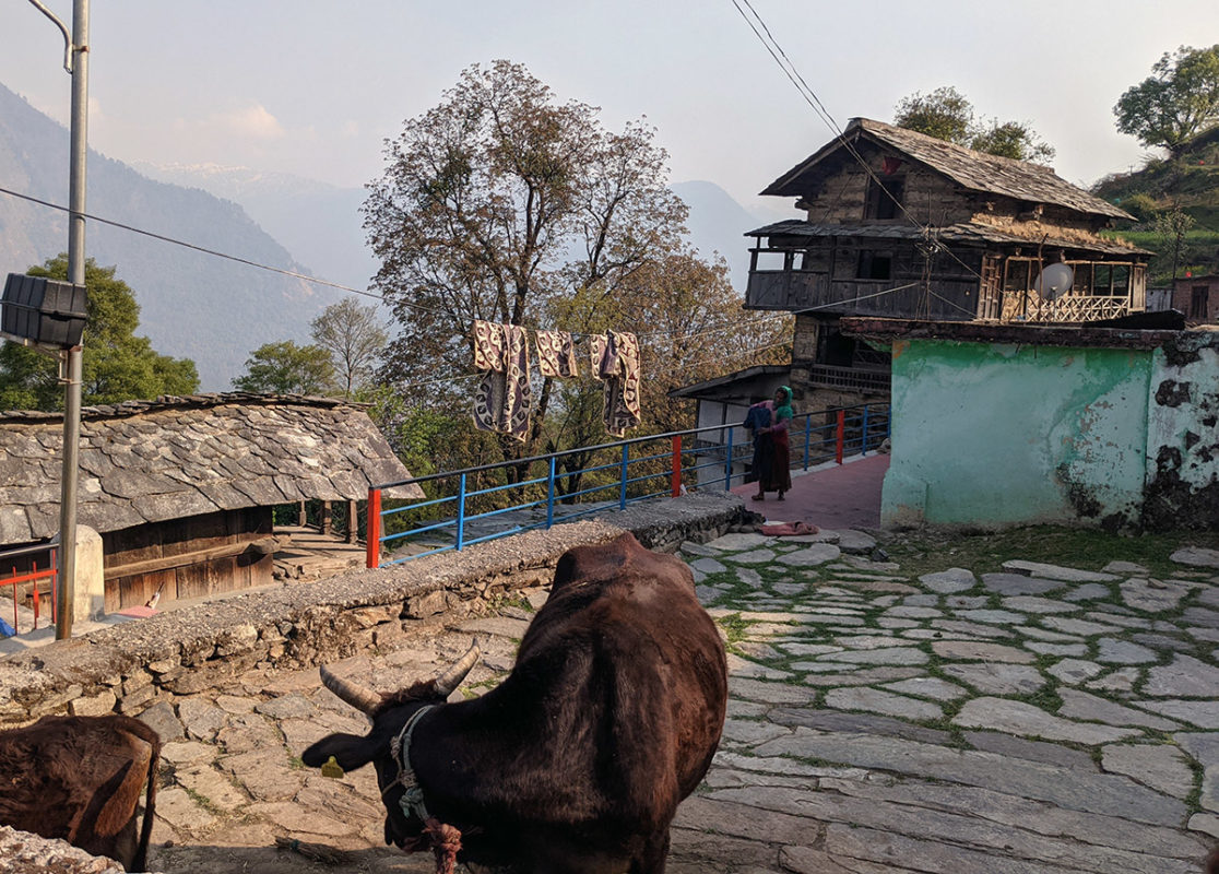 a cow lying on a stone path next to a building