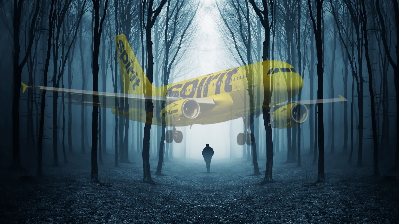 a man walking in a forest with a plane flying above