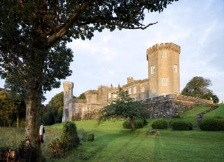 a castle with a tree in the back