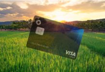a credit card in a field of grass