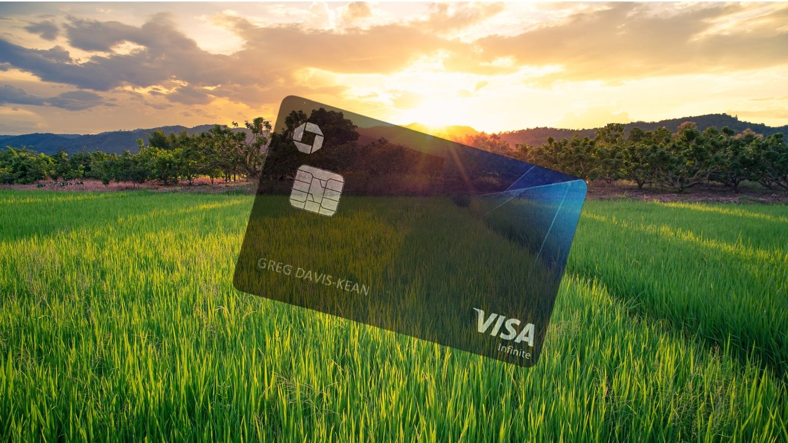 a credit card in a field of grass