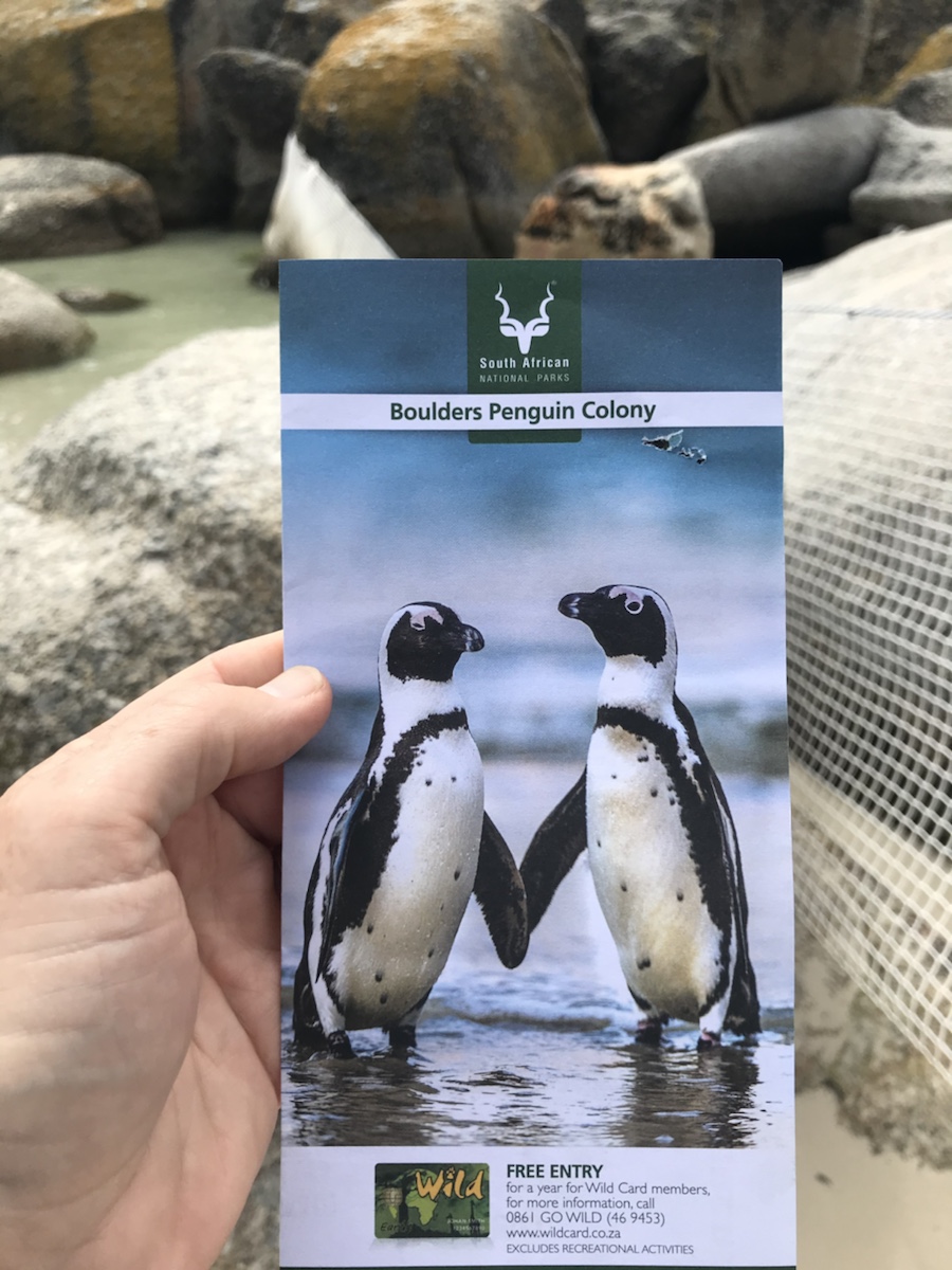 a hand holding a booklet with penguins in the water