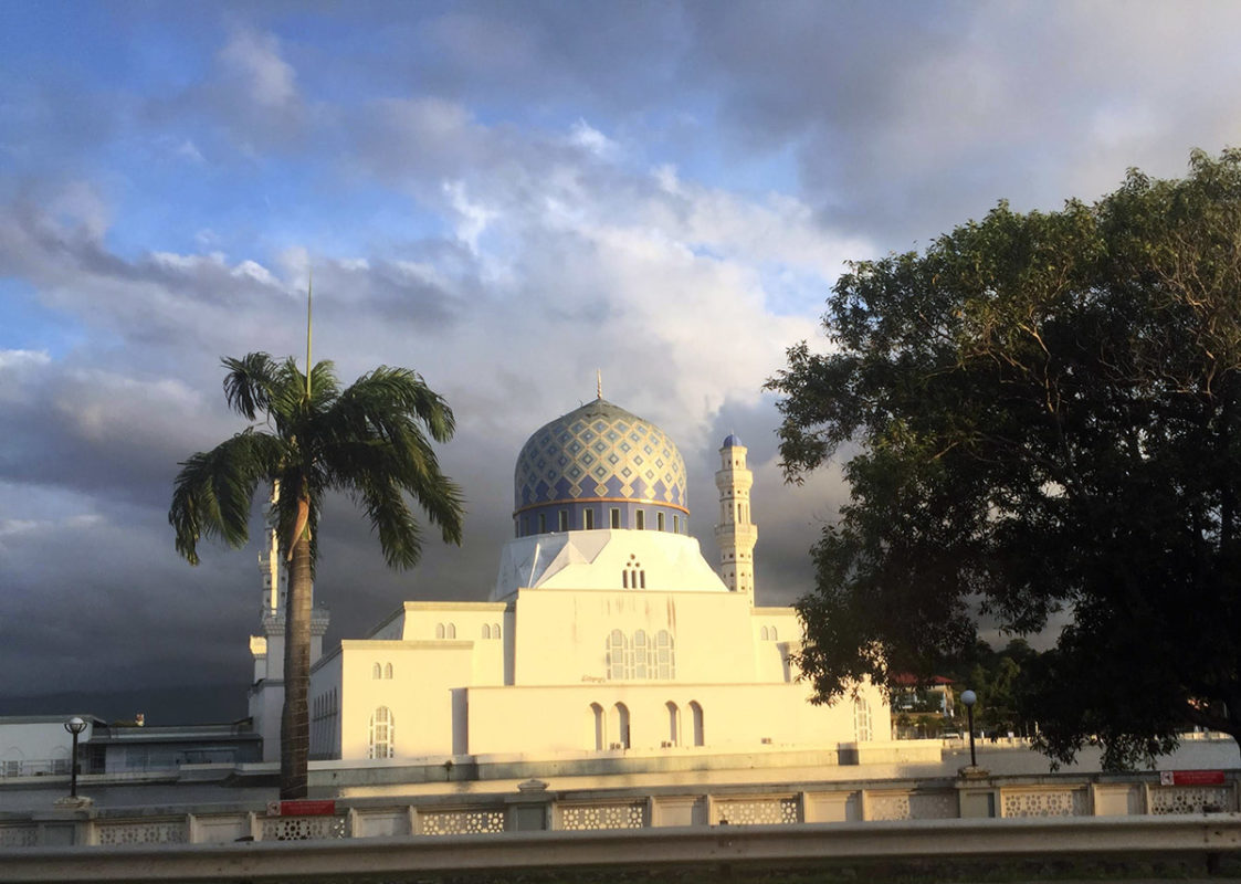 a white building with a dome and palm trees