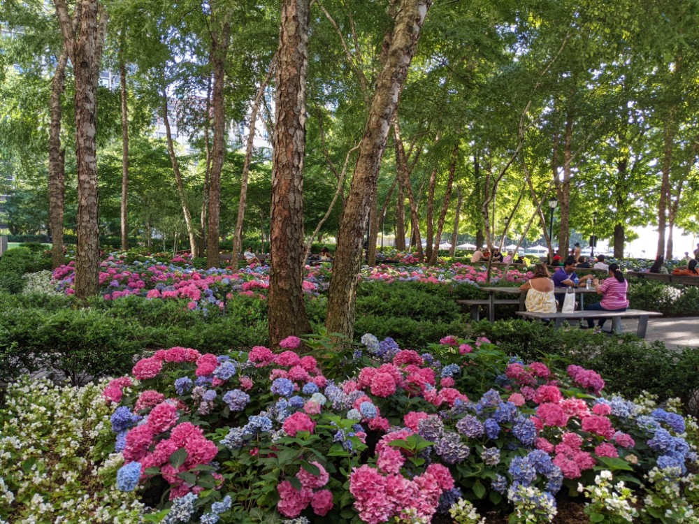 a group of people sitting at a table in a park with flowers