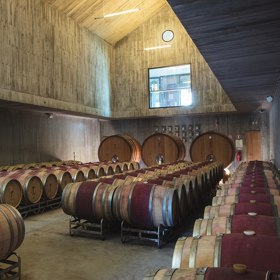 a room with rows of barrels