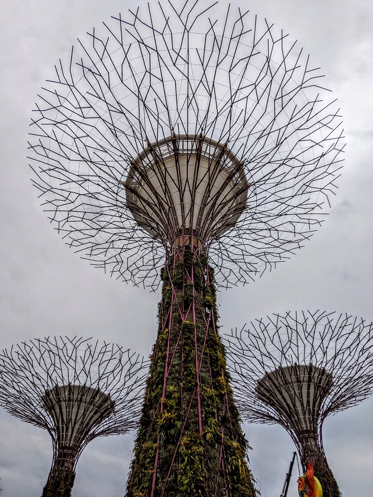 Golden Garden Supertrees at Gardens by the Bay in Singapore