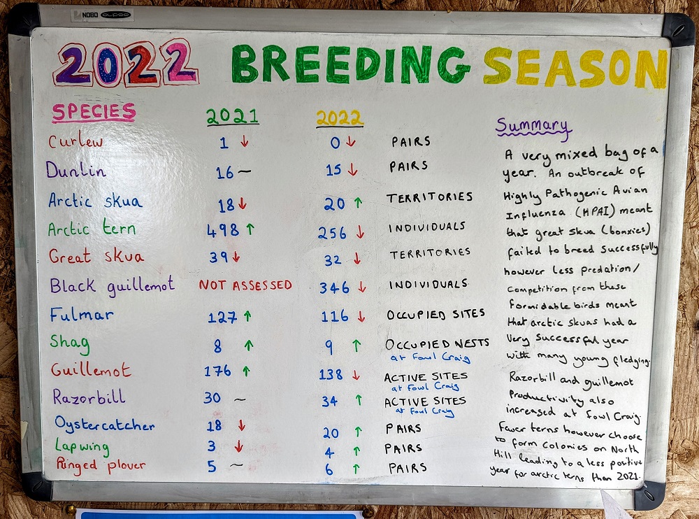 Papa Westray 2022 breeding season stats