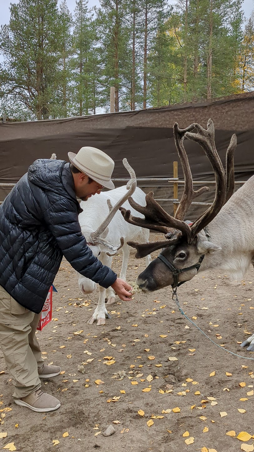 a man feeding a reindeer