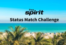 Spirit Status Match Challenge