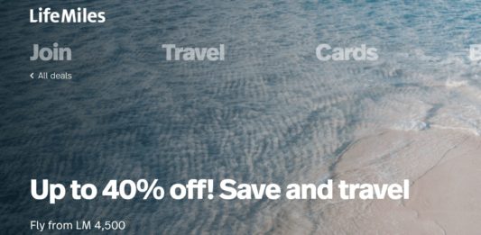 a close up of a beach