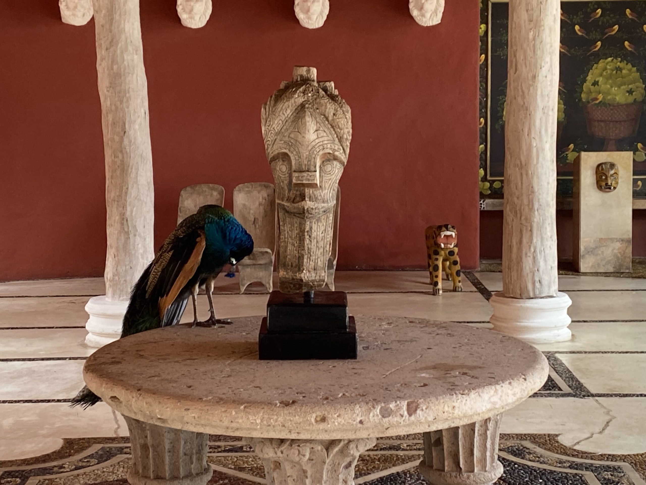 a peacock standing on a round table in a room with columns and a red wall