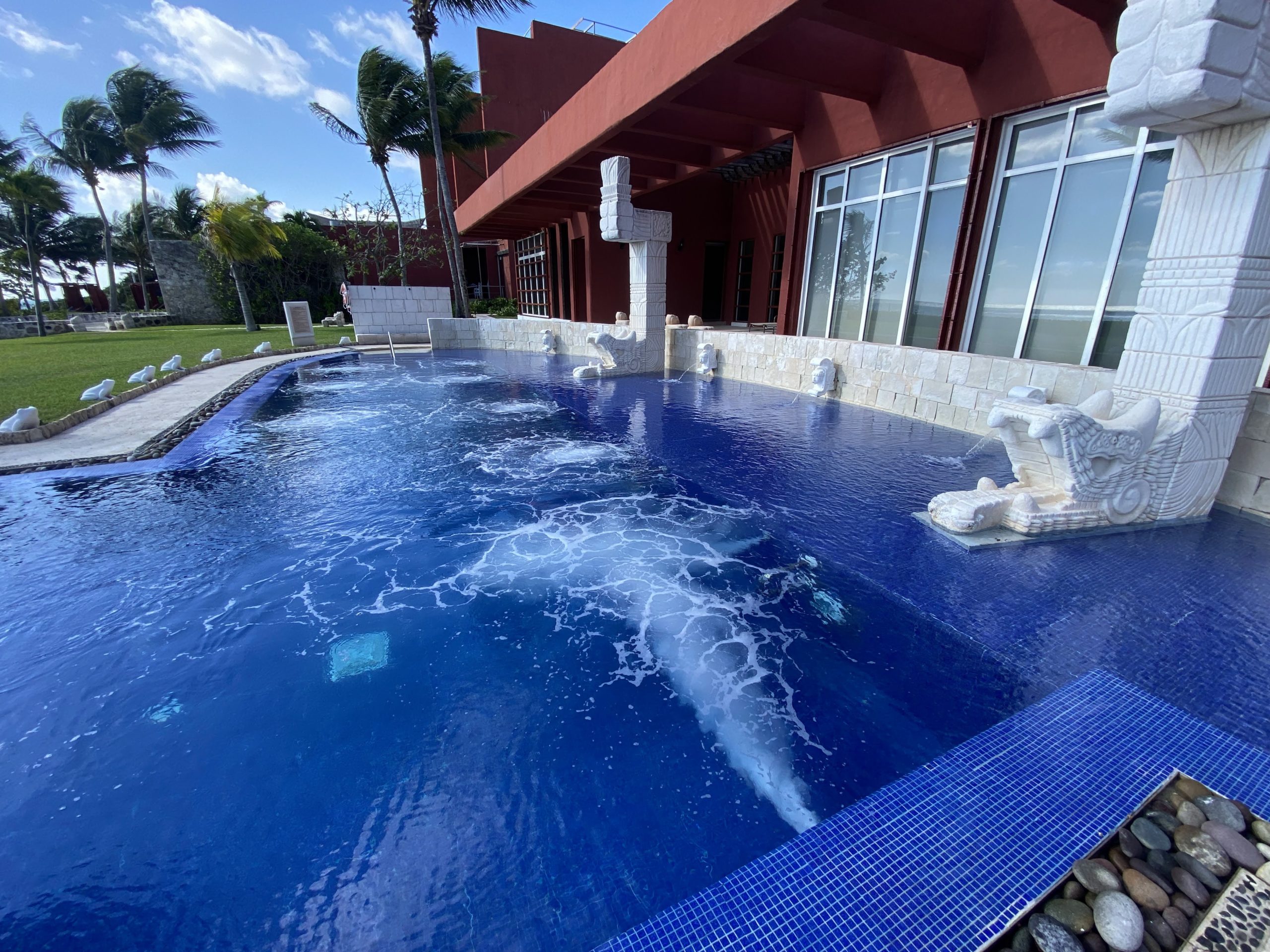 a swimming pool with a dolphin in it
