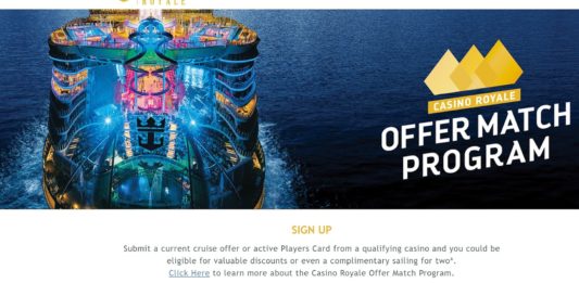 a cruise ship in the water