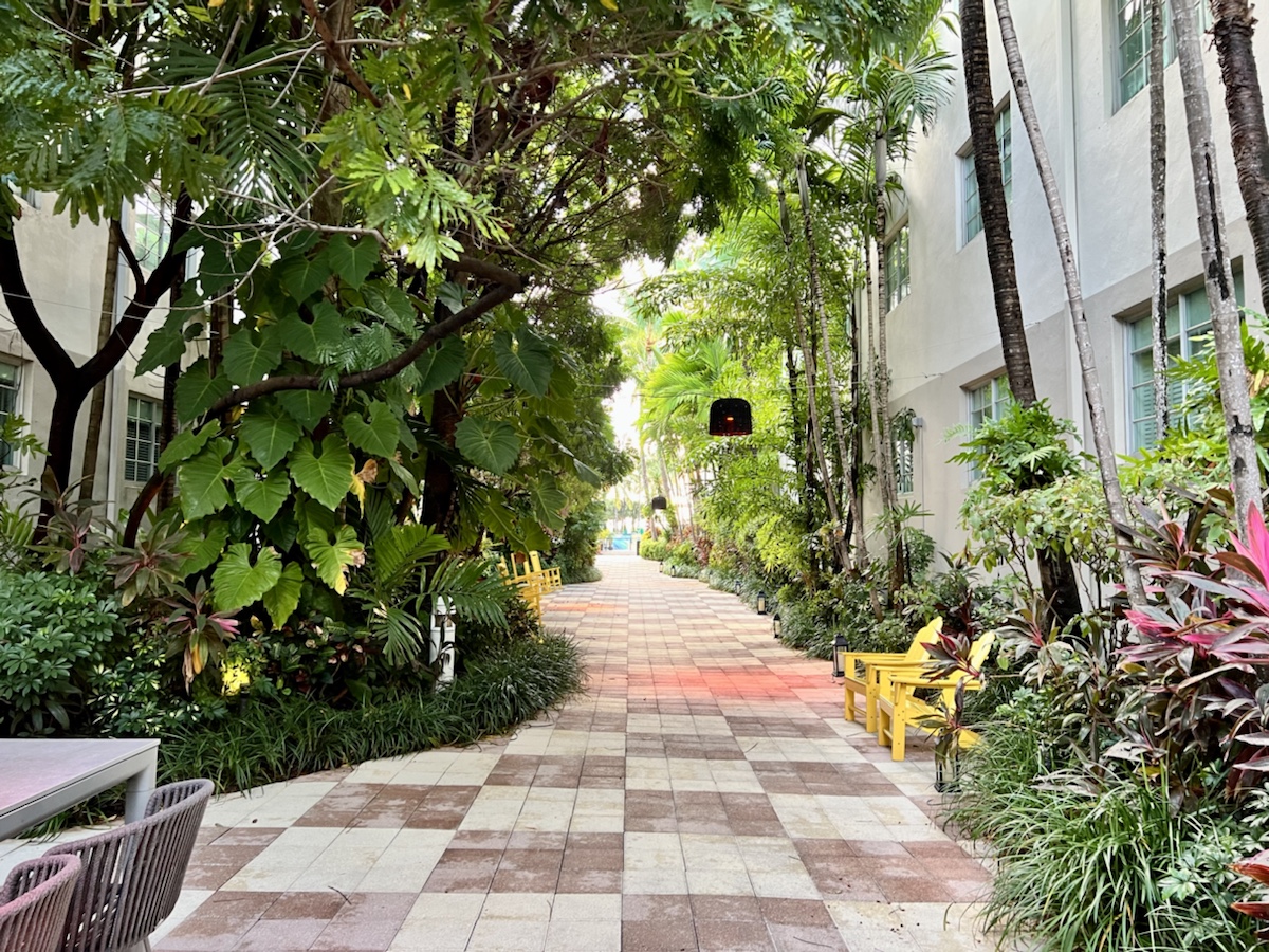a walkway with trees and plants