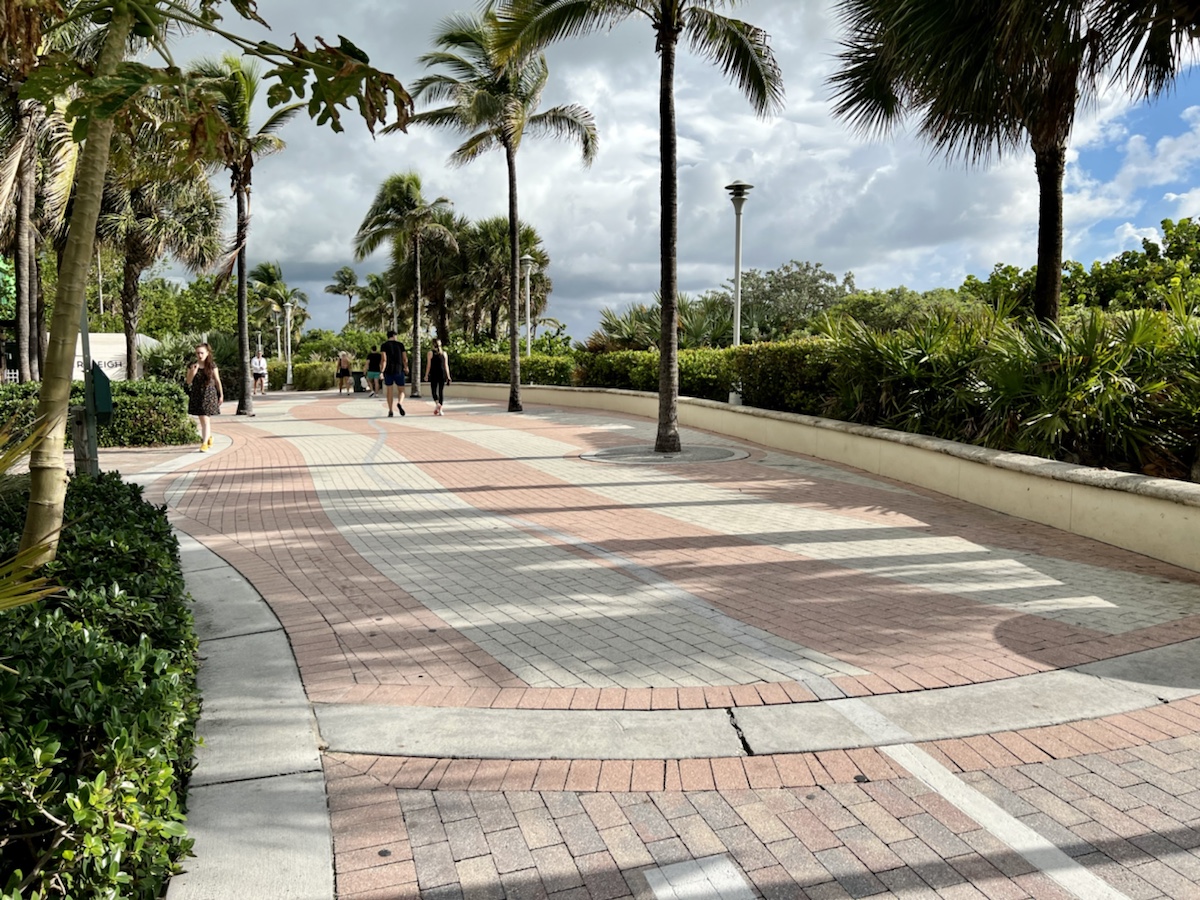people walking on a brick walkway with palm trees
