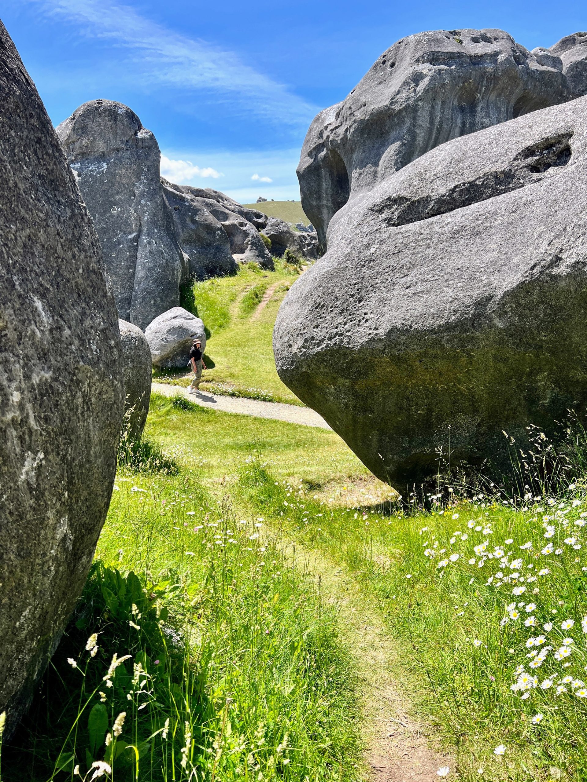 a person walking on a path through a grassy area with large rocks