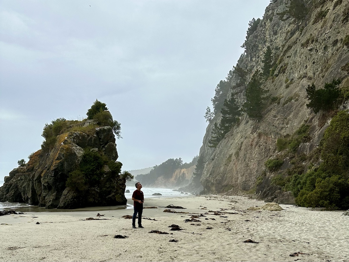 a man standing on a beach with rocks and trees