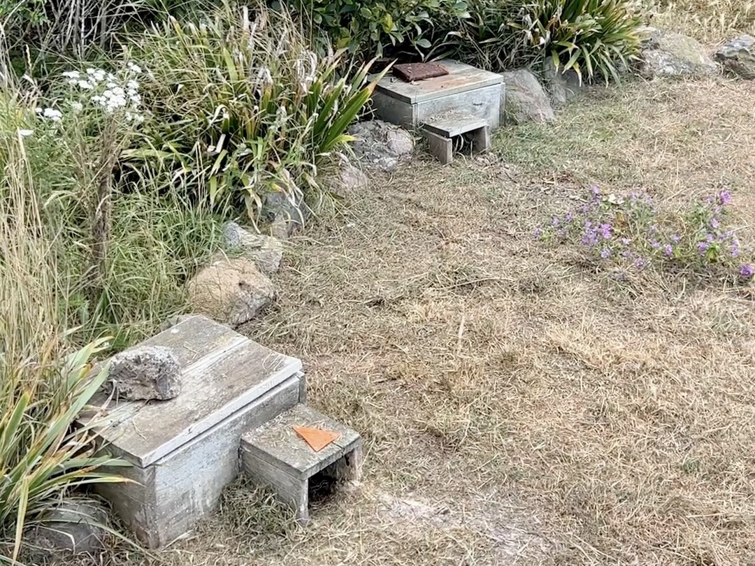 a group of wooden boxes in a grassy area