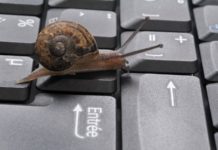 a snail on a keyboard