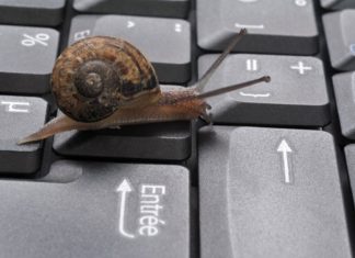 a snail on a keyboard