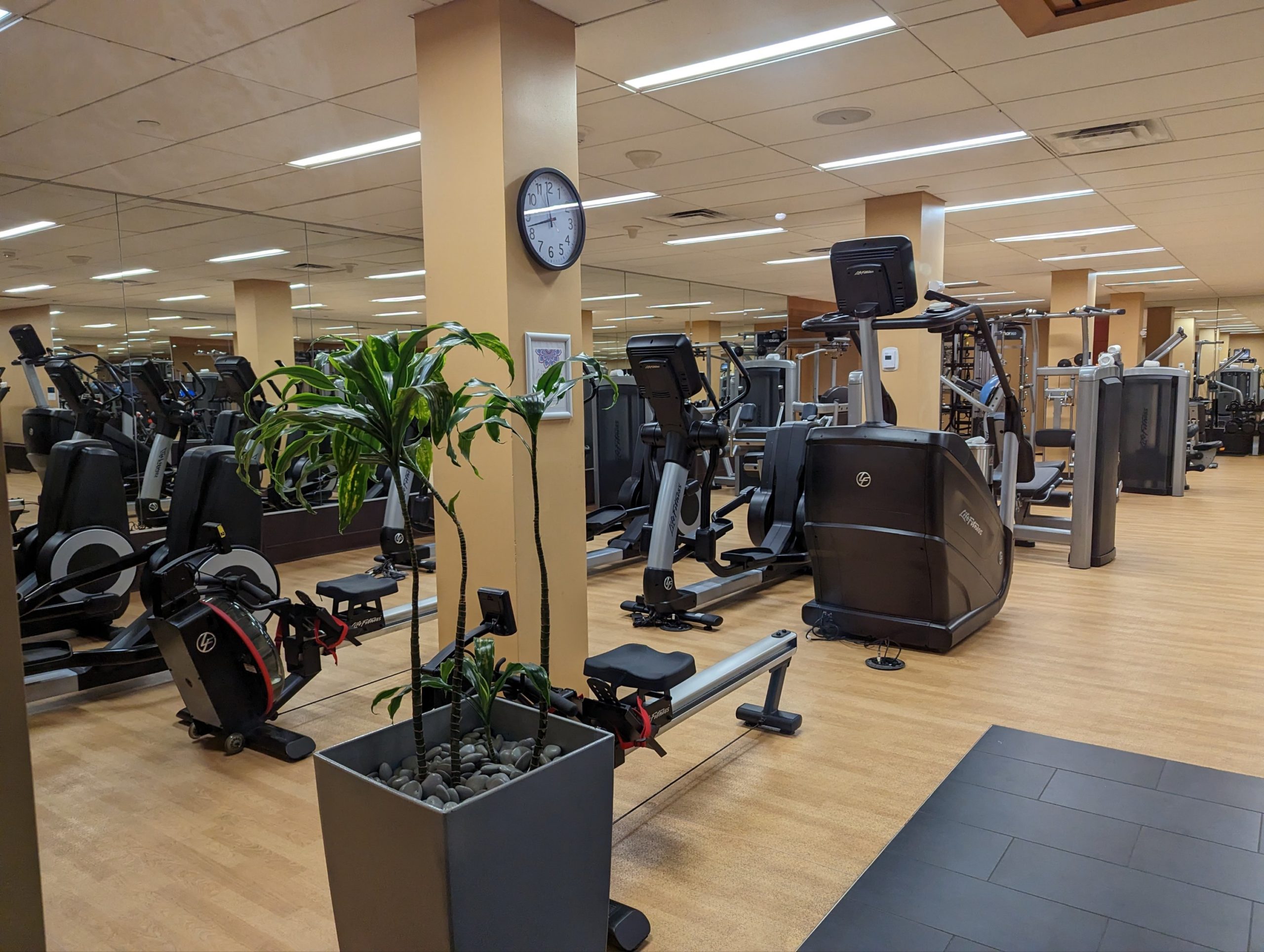 a room with exercise equipment and a plant