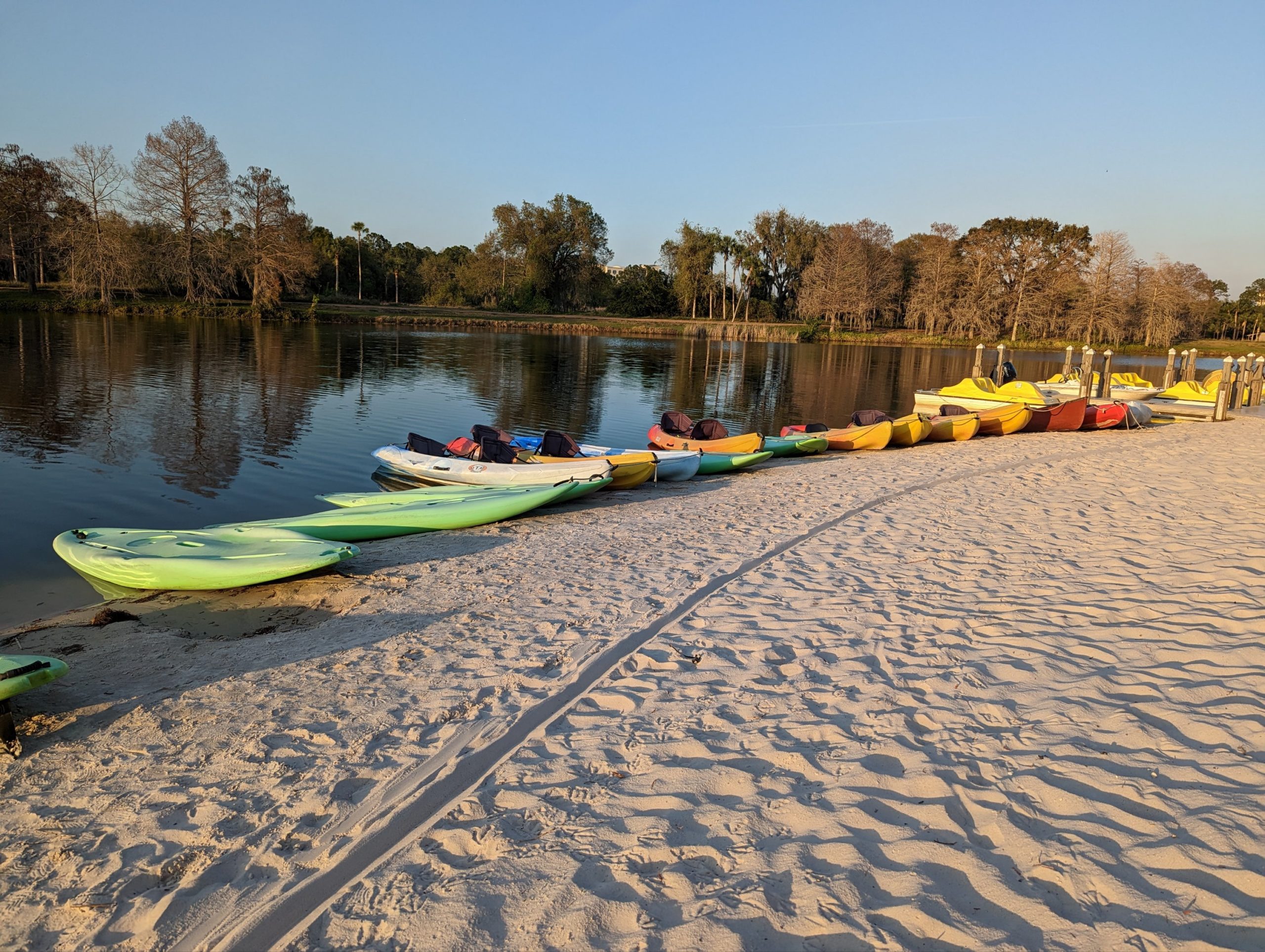 a row of kayaks on a beach