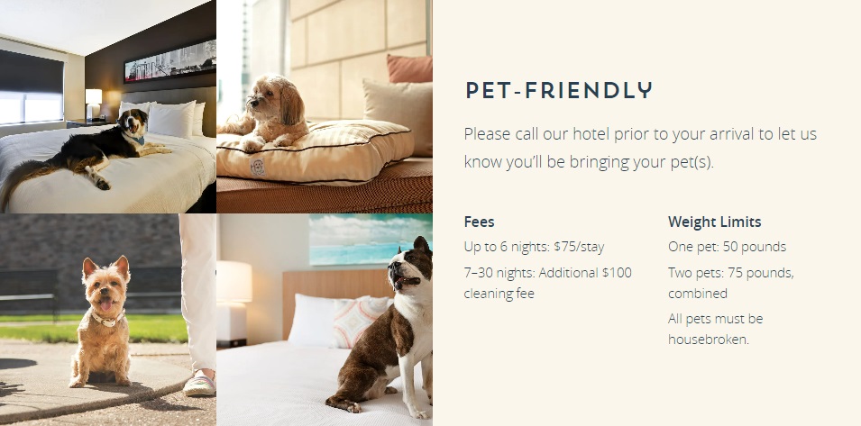 Example Hyatt Place pet policy