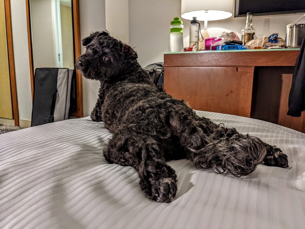 Truffles Draw me like one of your French girls