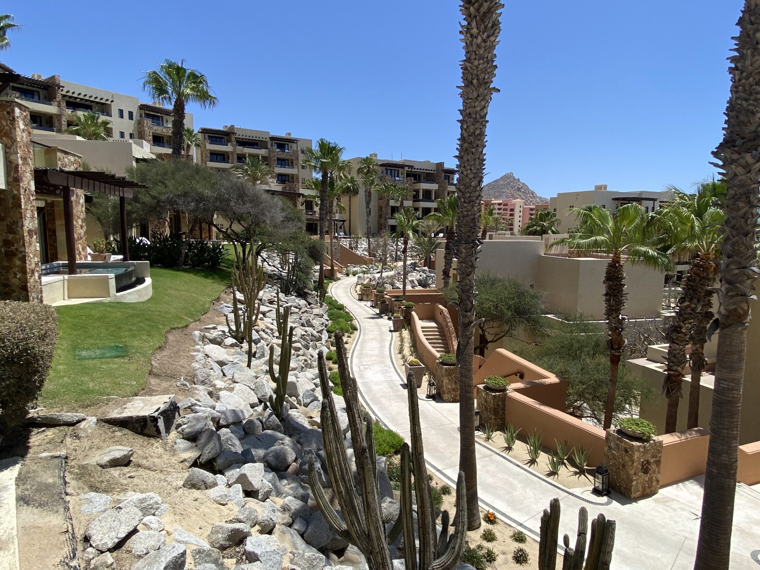 a group of buildings with palm trees