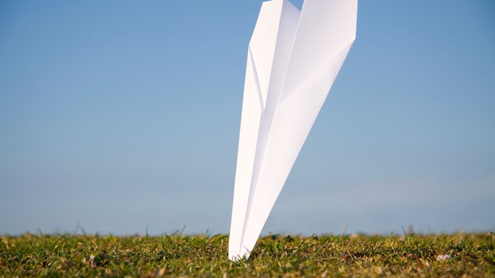 a paper airplane in the grass
