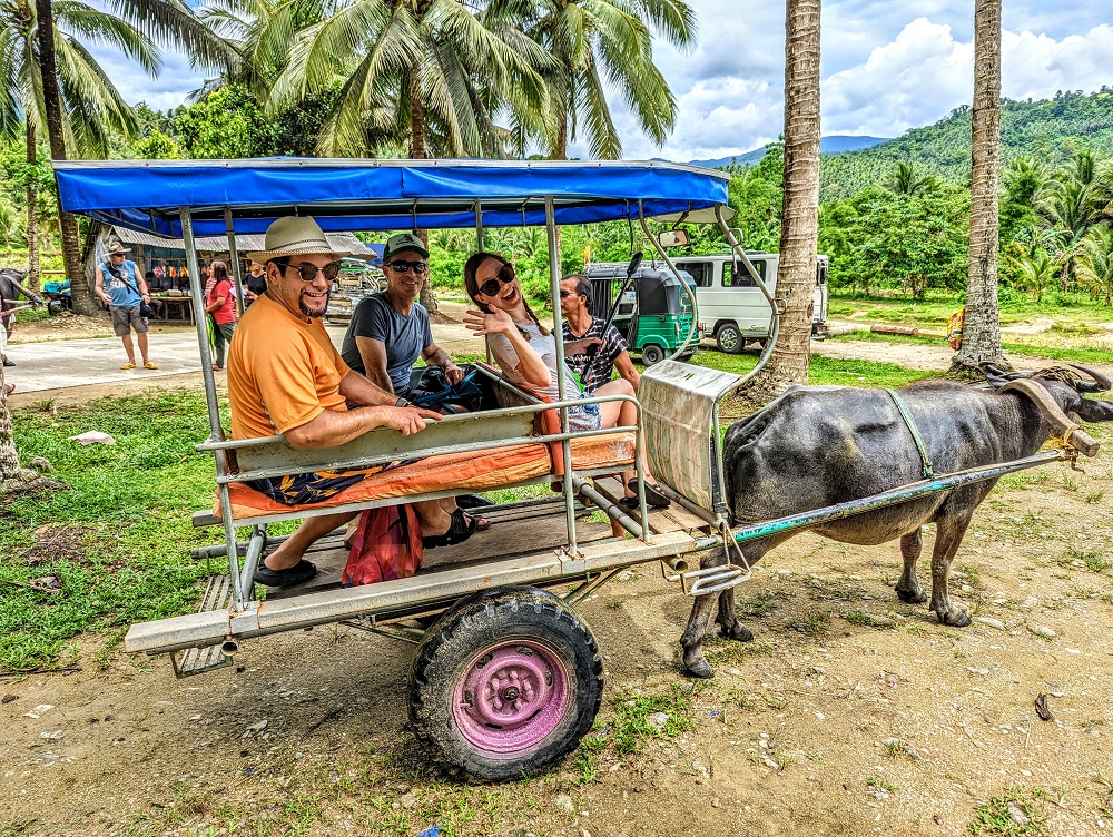 a group of people riding a cart with a buffalo