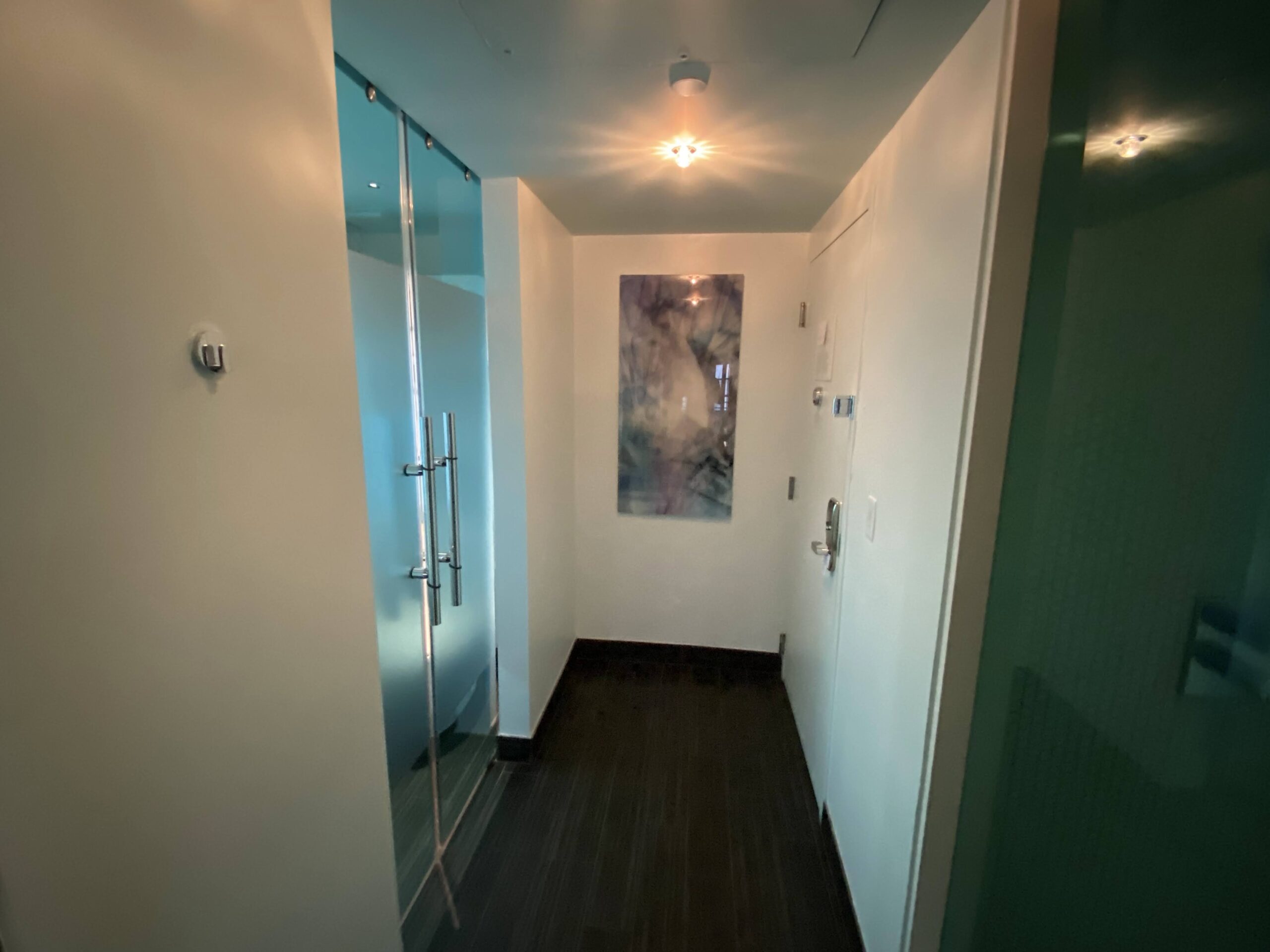 a hallway with a glass door and a painting on the wall