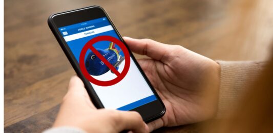 a person holding a cell phone