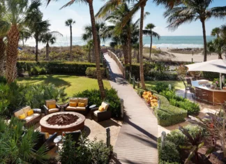 a patio area with a fire pit and palm trees