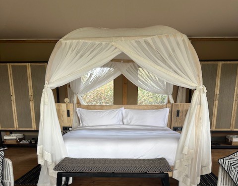 a bed with a canopy over it