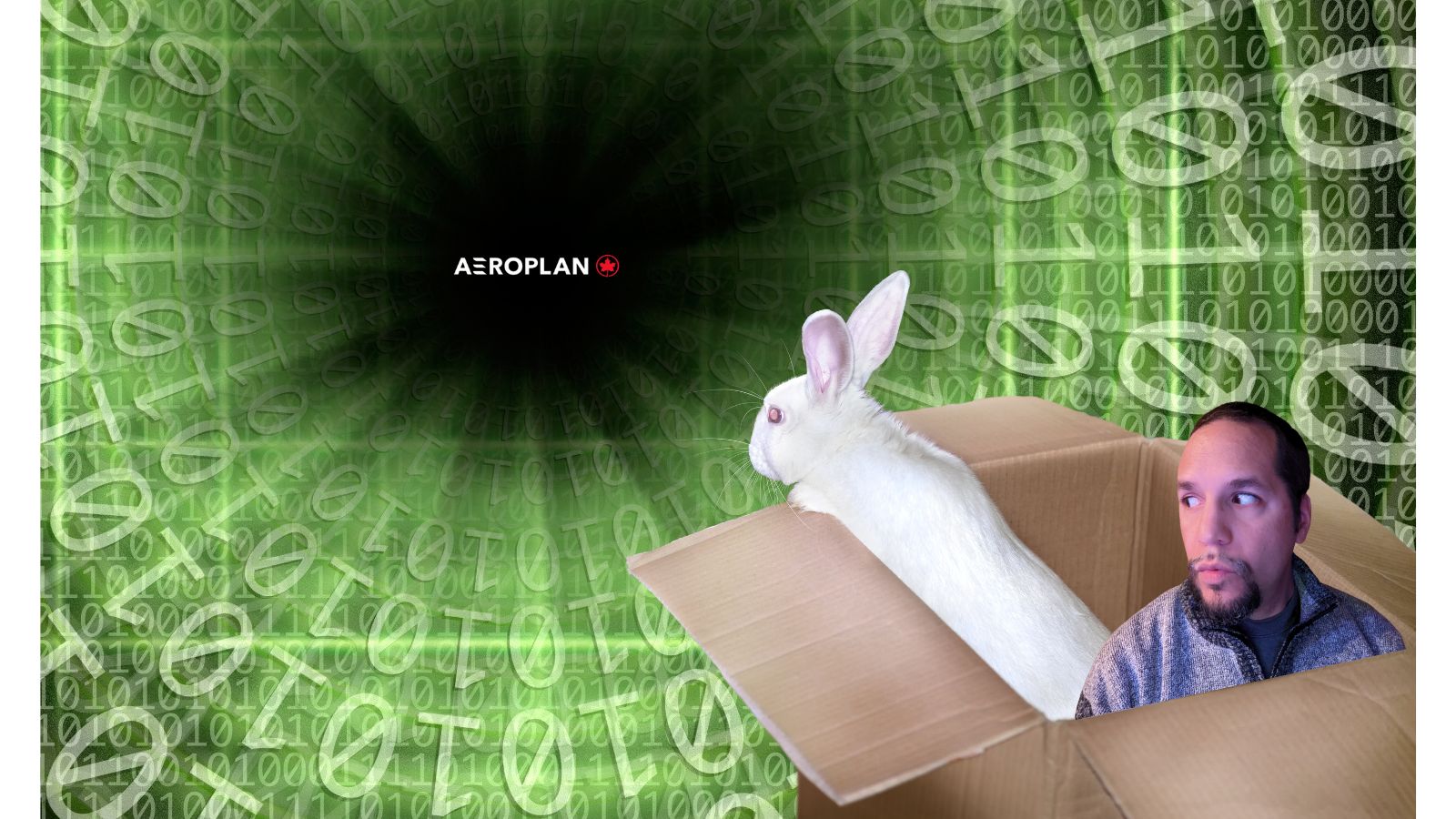 a rabbit in a box