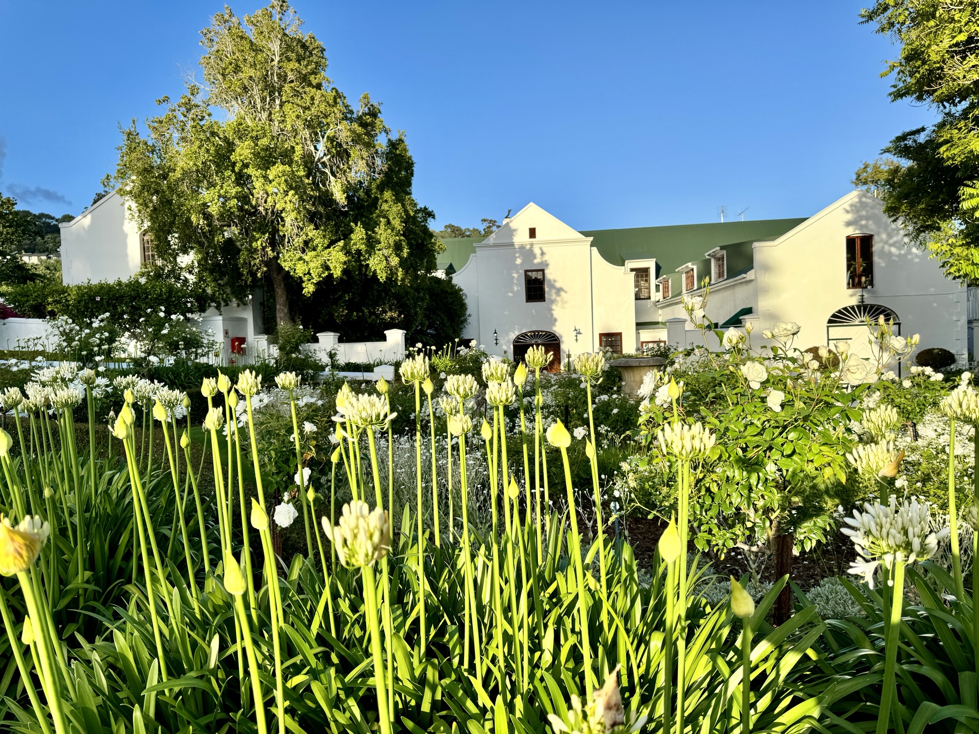 a white building with a green lawn and flowers