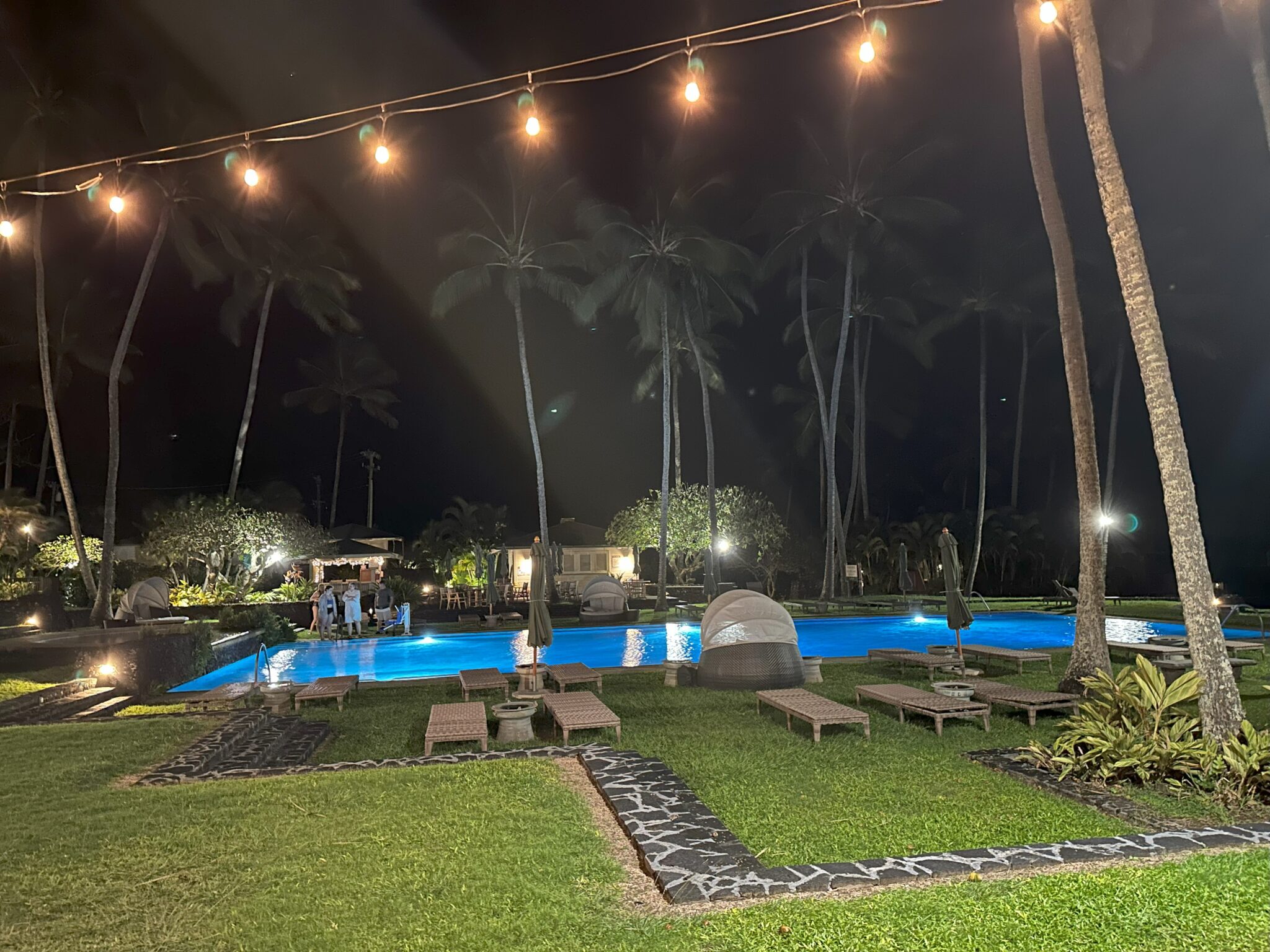 a pool with palm trees and a pool at night