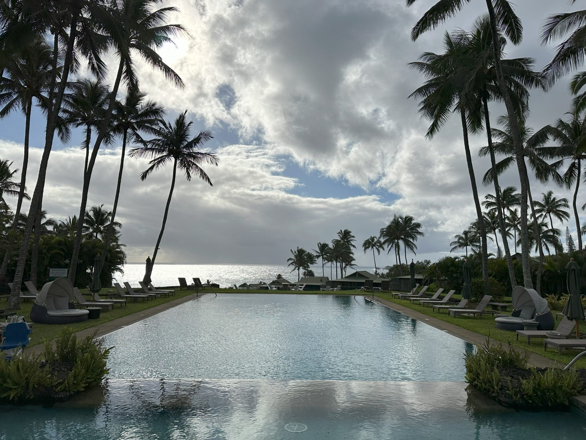 a pool with palm trees and a cloudy sky