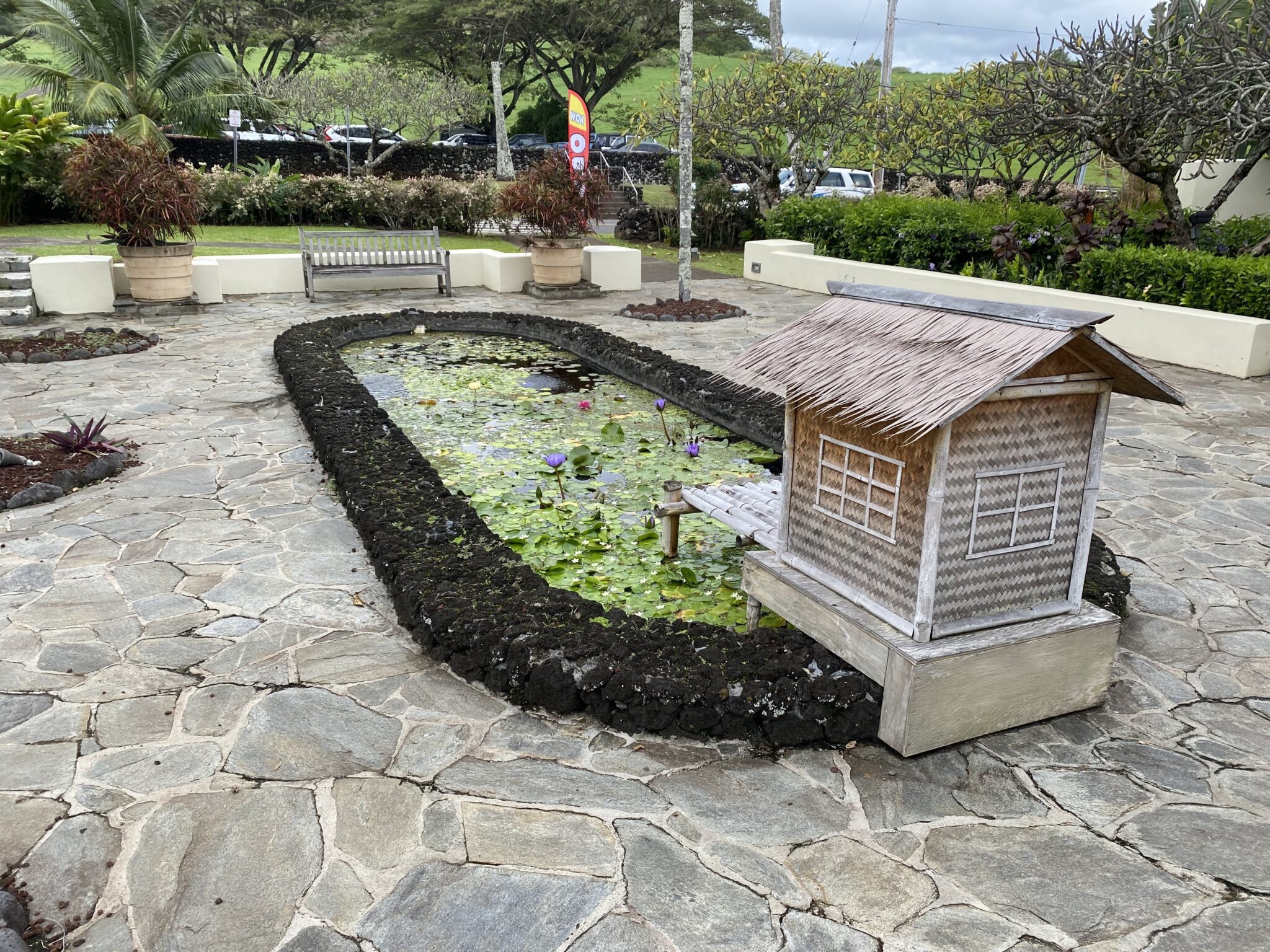 a small pond with a small house and benches