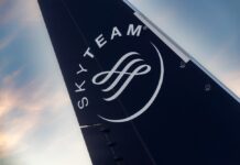 SkyTeam logo airplane tail