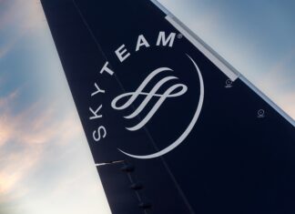 SkyTeam logo airplane tail