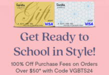 VanillaGift promo code VGBTS24