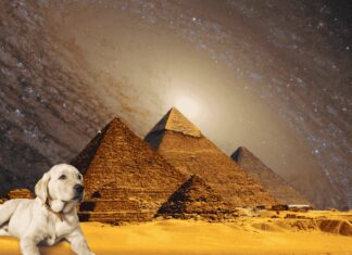 Dogs and pyramids