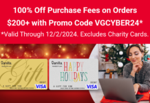 VanillaGift promo code VGCYBER24